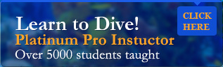 Learn to Dive with Brendal Stevens platinum pro instructor