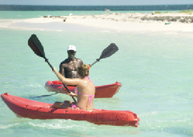 Kayak Tours with Brendal 