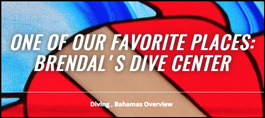 Brendal's - Our Favorite Place to Dive
